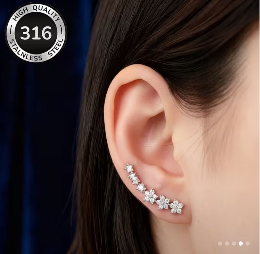 Aretes Plateados