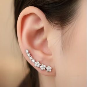 Aretes Plateados